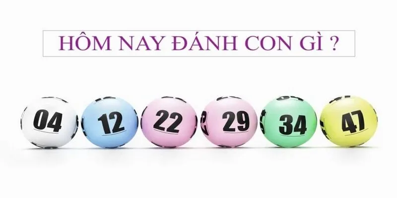 Ý nghĩa cần các tân binh hiểu về dây tuất trong lô đề